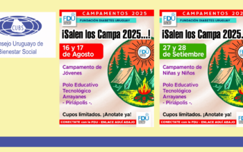 Campamentos Educativos de la FDU